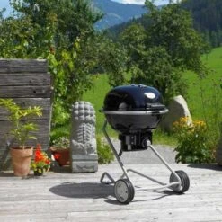 Barbecue Charbon Air F60 - Rosle* -Broil King Grill Promos Boutique barbecue charbon rosle f60 4004293250063 6