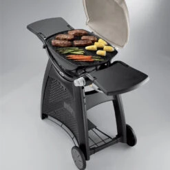 Grille De Cuisson Fonte émaillée Q300/Q3000 - Weber 7 Grille De Cuisson Fonte émaillée Q300/Q3000 - Weber -Broil King Grill Promos Boutique grille de cuisson pour q300 barbecue a gaz weber 0077924038853 3